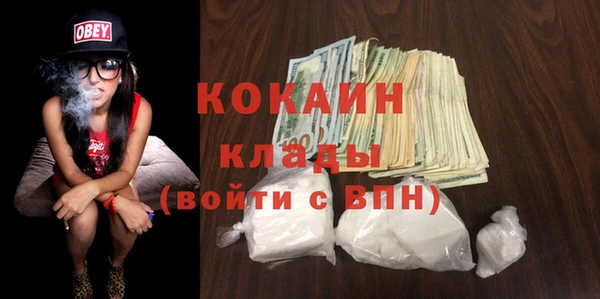 молекула духа Богданович