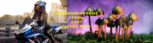 молекула духа Богданович