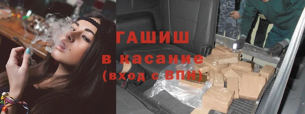 молекула духа Богданович