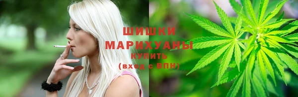 молекула духа Богданович