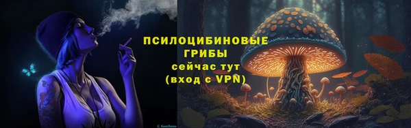 соль ск Богородицк