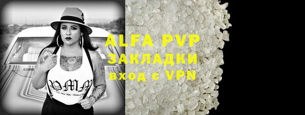 молекула духа Богданович