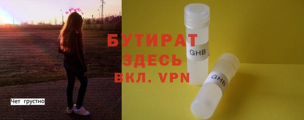 молекула духа Богданович