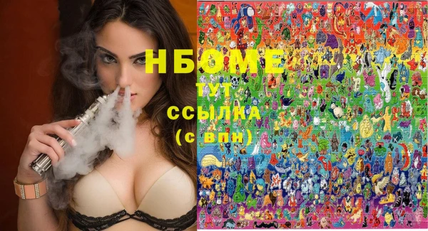 гидра Богородск