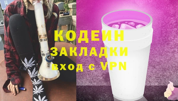 гидра Богородск