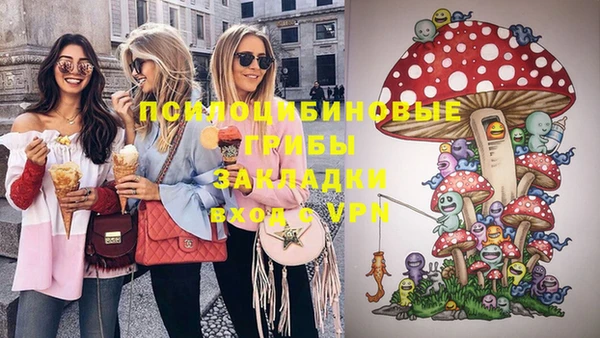 молекула духа Богданович