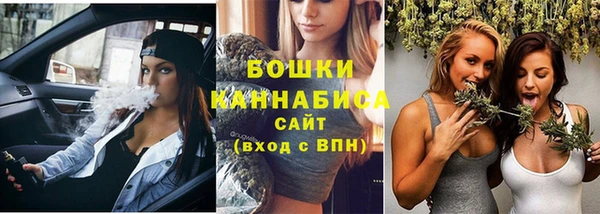соль ск Белокуриха
