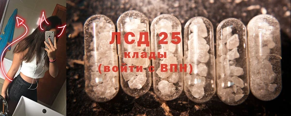 гидра Богородск
