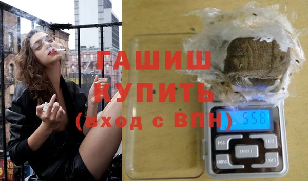 гидра Богородск