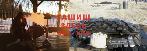 гидра Богородск