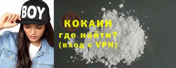 молекула духа Богданович