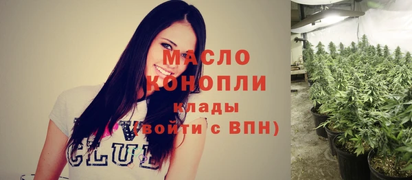 молекула духа Богданович